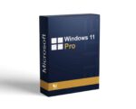 Windows 11 Pro