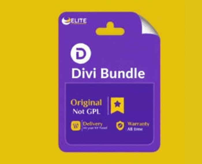 Divi Bundle - Elite Software